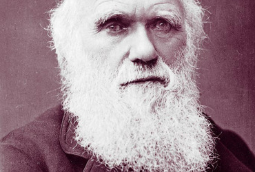 Charles_Darwin_photograph_by_Herbert_Rose_Barraud_1881_2