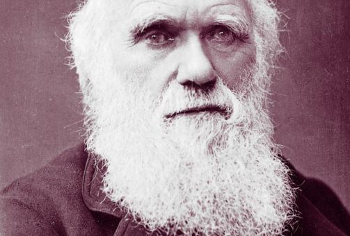 Charles darwin
