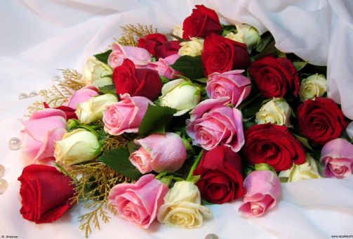 Number of roses produced for Valentine s Day