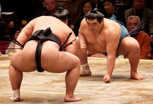 Sumo