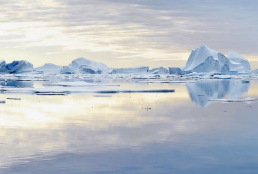Pôle nord